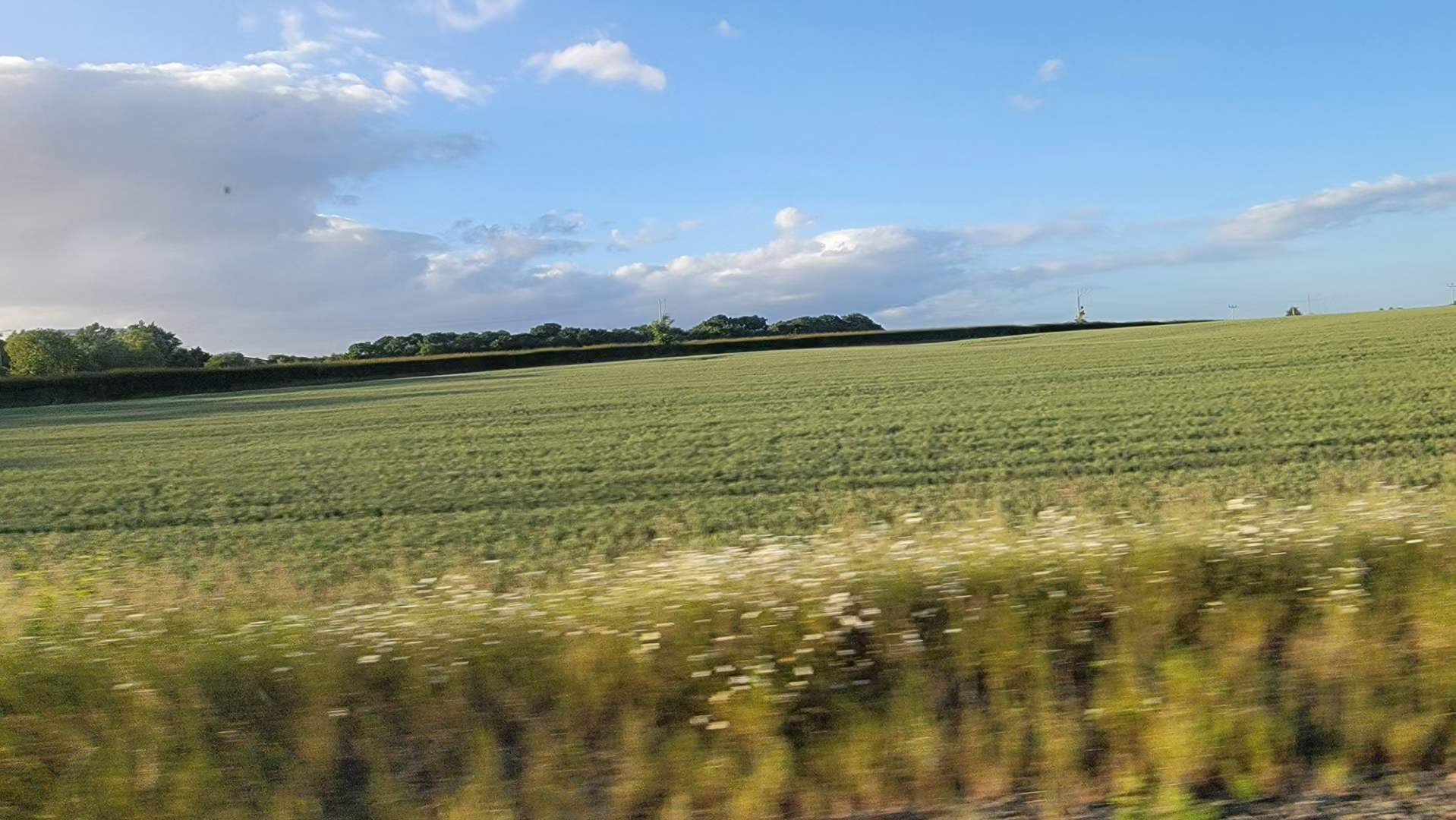 1655053966926266.jpg