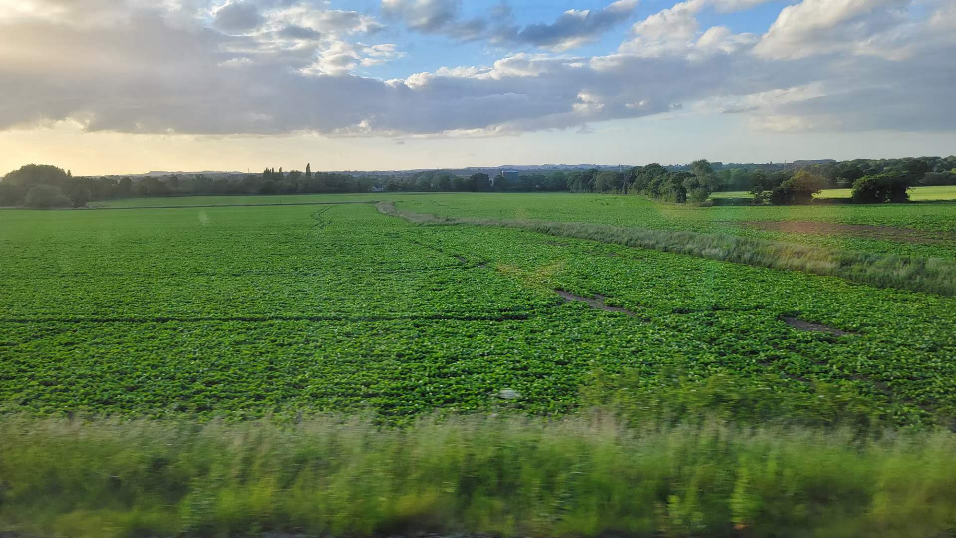 1655053967801306.jpg